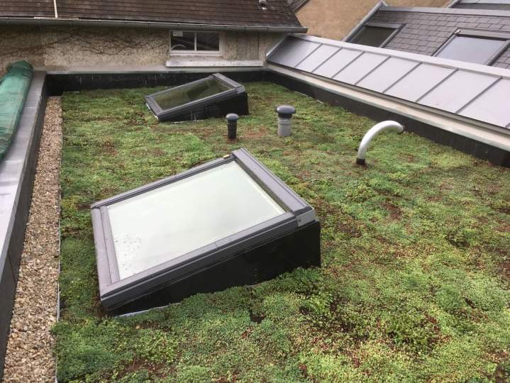 Travaux sur toit à Orléans